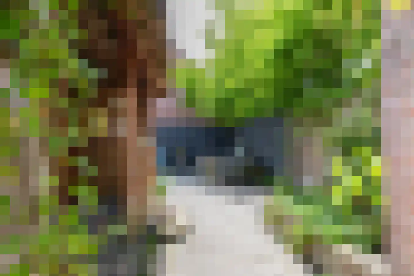 Onnemaheerd 58 Groningen thumbnail 38