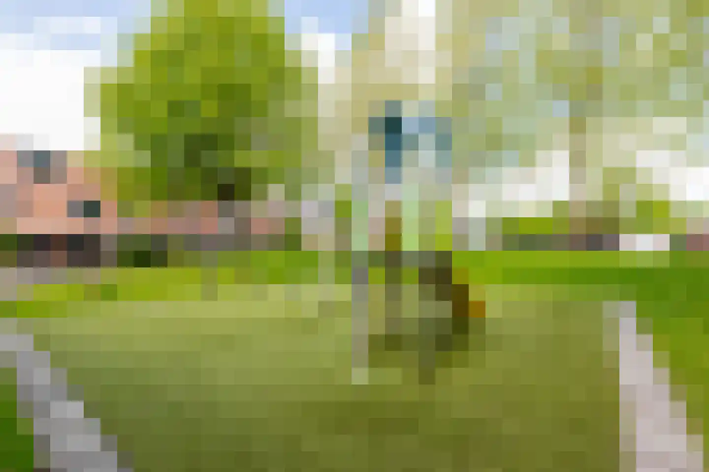 Onnemaheerd 58 Groningen thumbnail 46