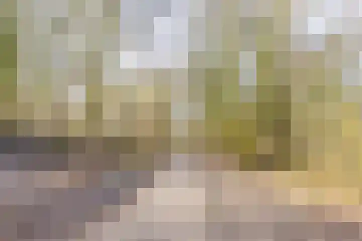 Onnemaheerd 81 Groningen thumbnail 30
