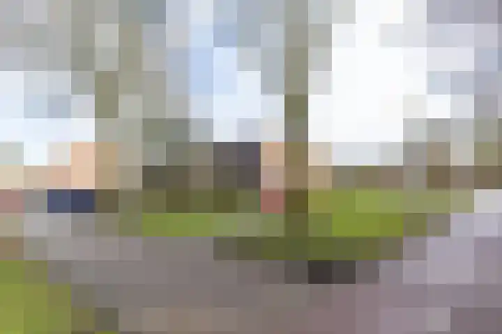Onnemaheerd 81 Groningen thumbnail 31