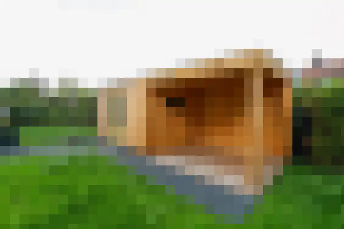 Onnerweg 44 Haren Gn thumbnail 5