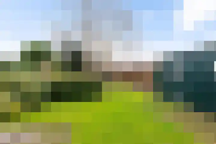 Onnerweg 62 Haren Gn thumbnail 35