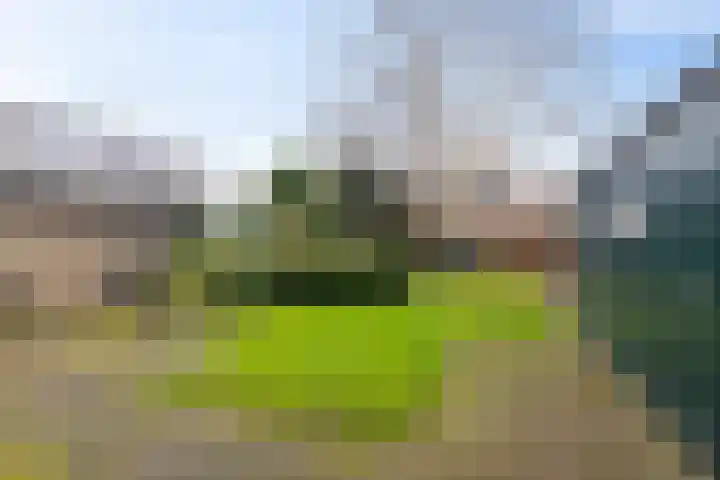 Onnerweg 62 Haren Gn thumbnail 37