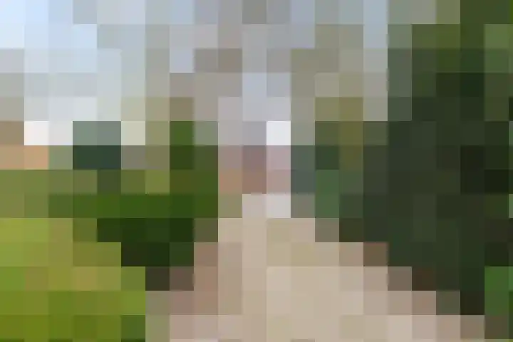 Onnerweg 62 Haren Gn thumbnail 39