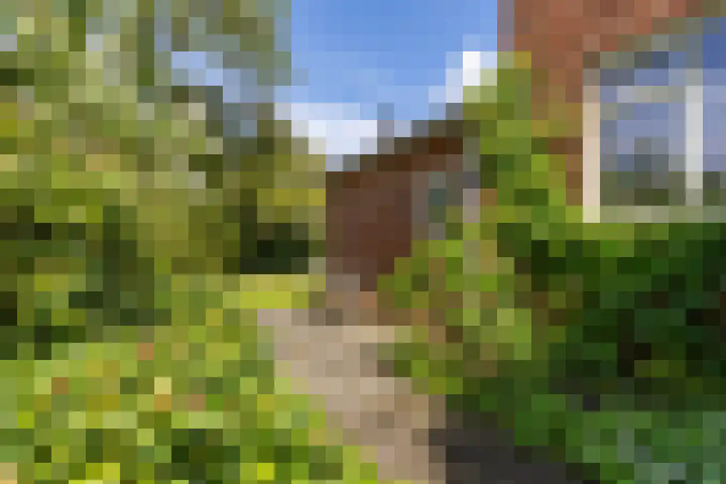 Onnerweg 76 Haren Gn thumbnail 34