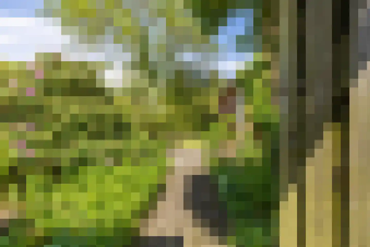 Onnerweg 76 Haren Gn thumbnail 35