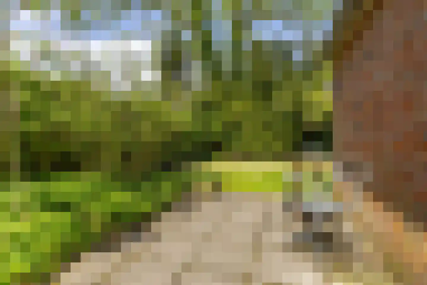 Onnerweg 76 Haren Gn thumbnail 36