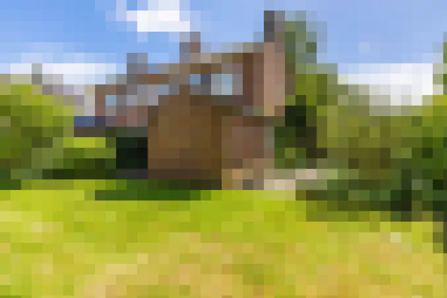 Onnerweg 76 Haren Gn thumbnail 43