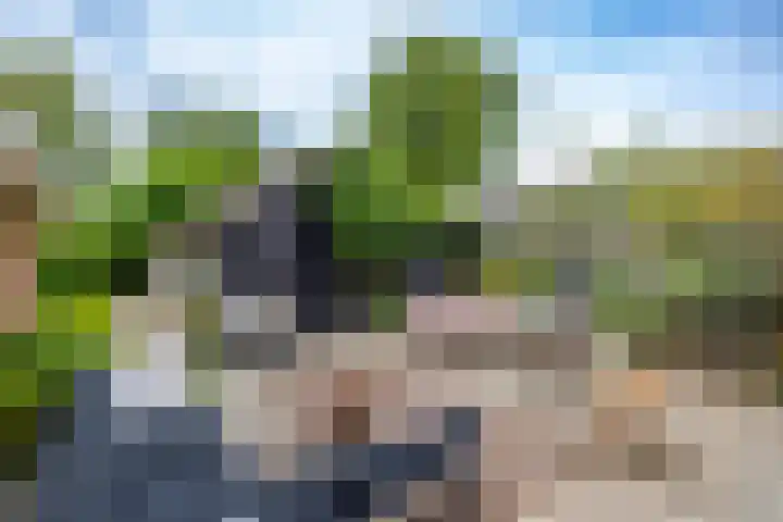 Onnerweg 91 Haren Gn thumbnail 24