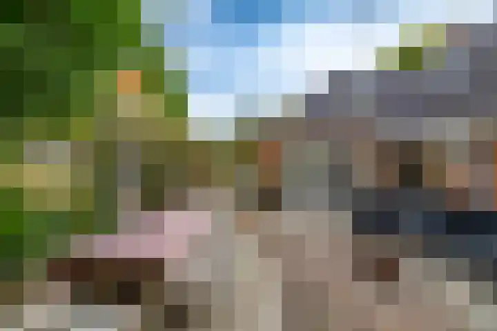 Onnerweg 91 Haren Gn thumbnail 26