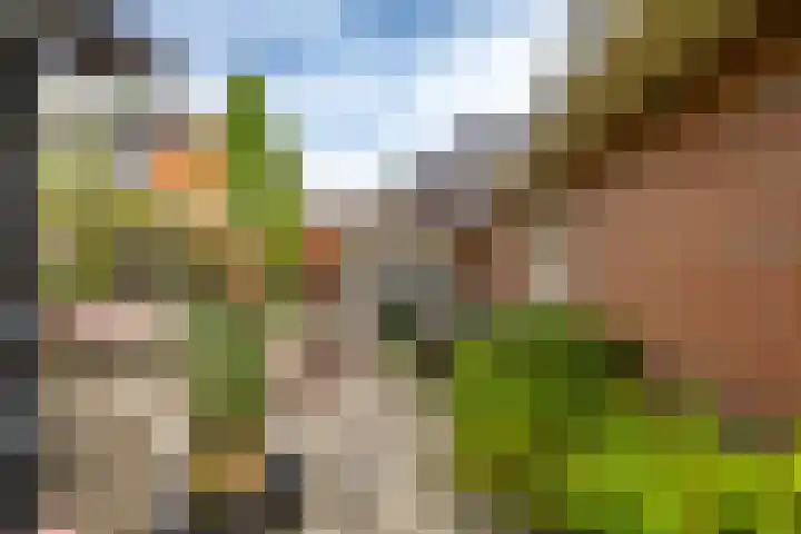 Onnerweg 91 Haren Gn thumbnail 27