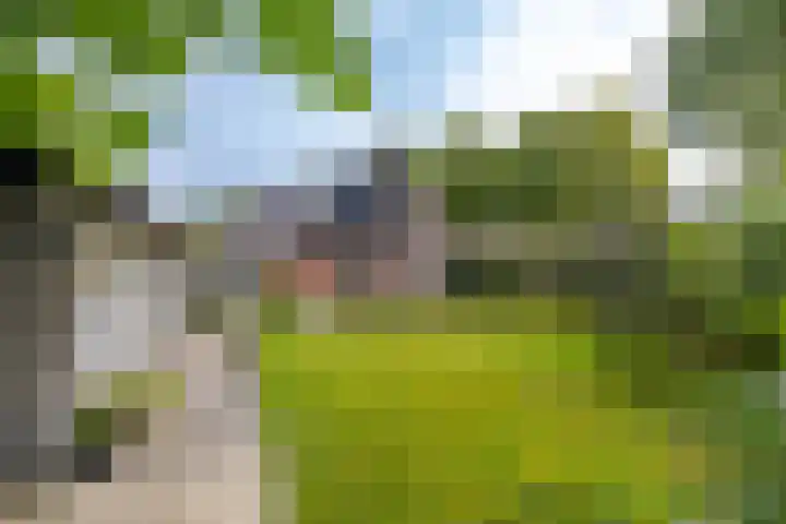 Onnerweg 91 Haren Gn thumbnail 28