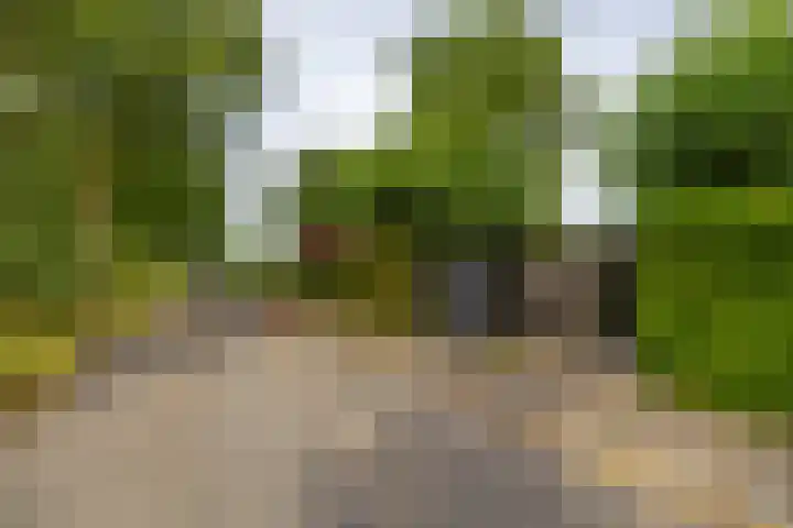 Onnerweg 91 Haren Gn thumbnail 30
