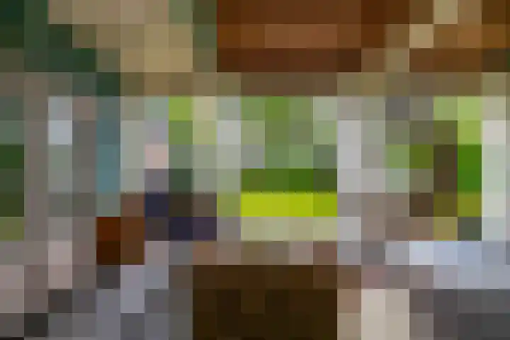 Onnerweg 91 Haren Gn thumbnail 34