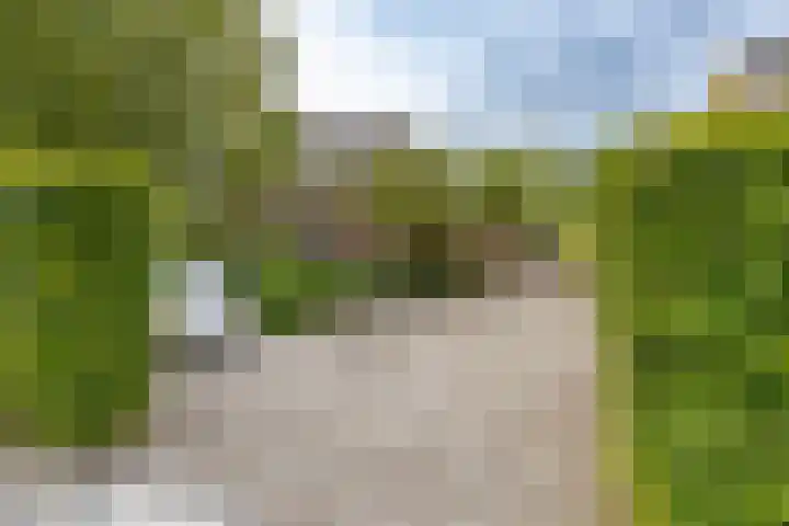 Onnerweg 91 Haren Gn thumbnail 5