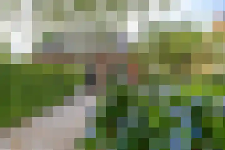 Onnerweg 91 Haren Gn thumbnail 6