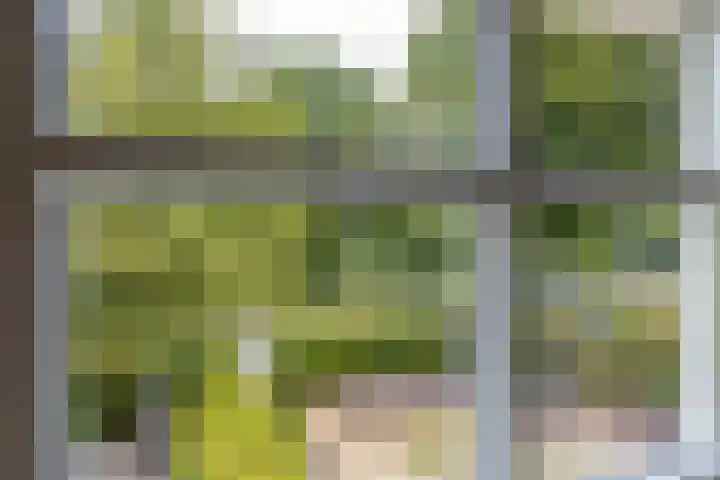 Onnerweg 91 Haren Gn thumbnail 60