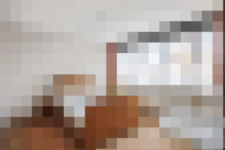 Onno van Ewsumlaan 9 Middelstum thumbnail 12