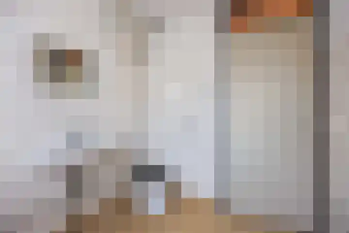 Onno van Ewsumlaan 9 Middelstum thumbnail 17