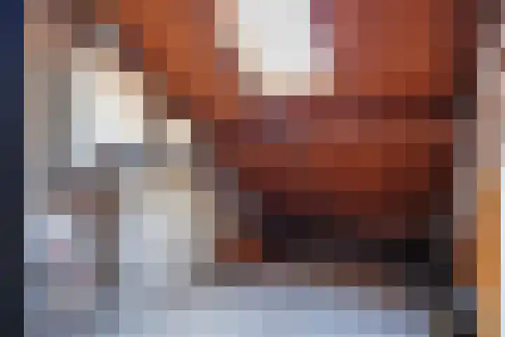 Onno van Ewsumlaan 9 Middelstum thumbnail 18