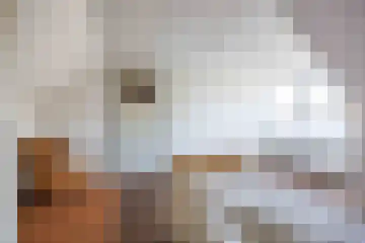 Onno van Ewsumlaan 9 Middelstum thumbnail 20