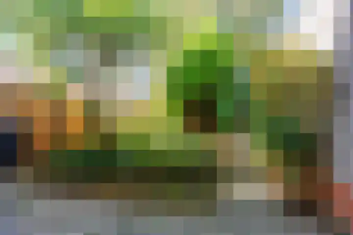 Onno van Ewsumlaan 9 Middelstum thumbnail 24