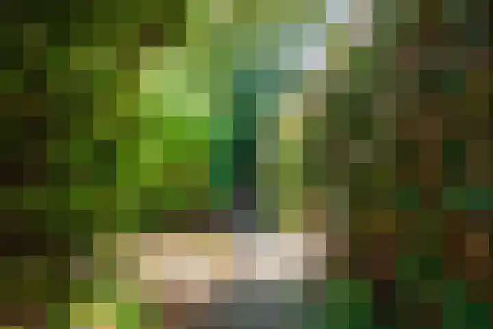 Onno van Ewsumlaan 9 Middelstum thumbnail 25
