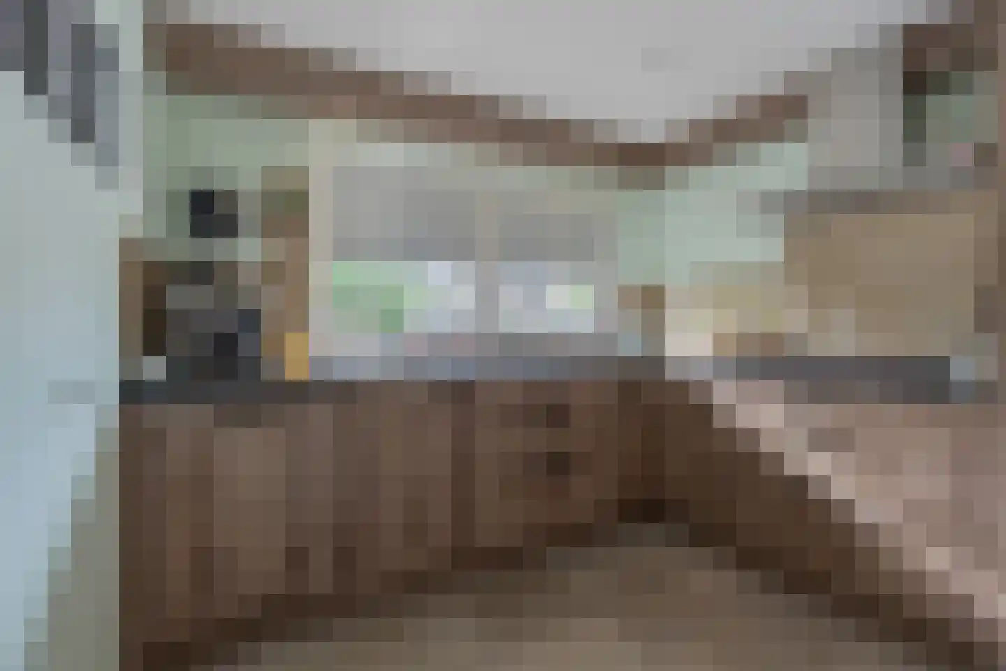 Onruststraat 6 Kamperland thumbnail 18