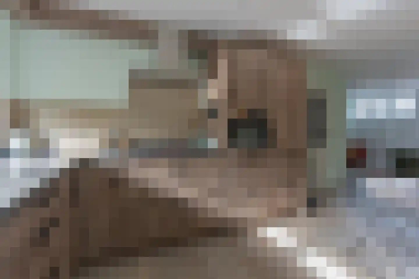 Onruststraat 6 Kamperland thumbnail 20