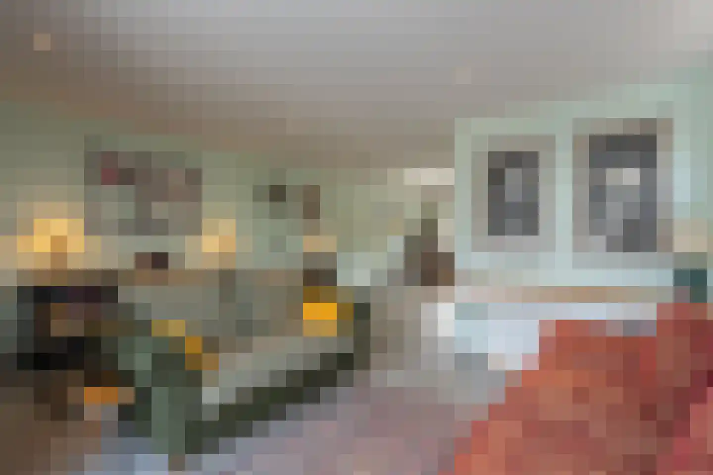 Onruststraat 6 Kamperland thumbnail 27