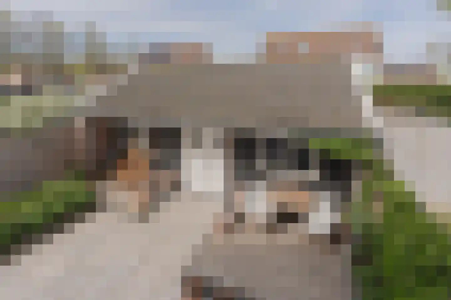 Onruststraat 6 Kamperland thumbnail 54