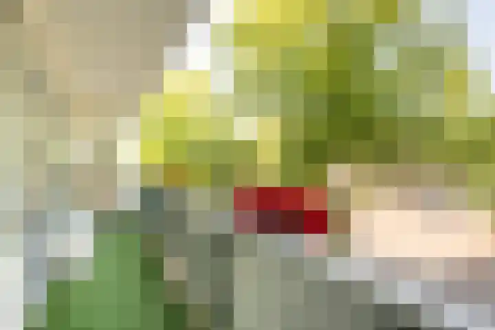 Onsenoort 20 Amsterdam thumbnail 15