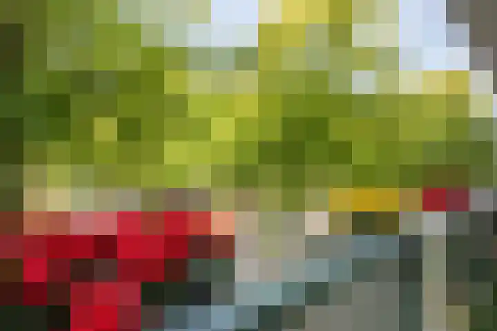Onsenoort 20 Amsterdam thumbnail 16