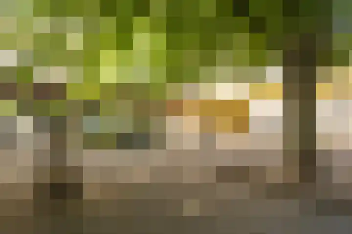 Onsenoort 20 Amsterdam thumbnail 17