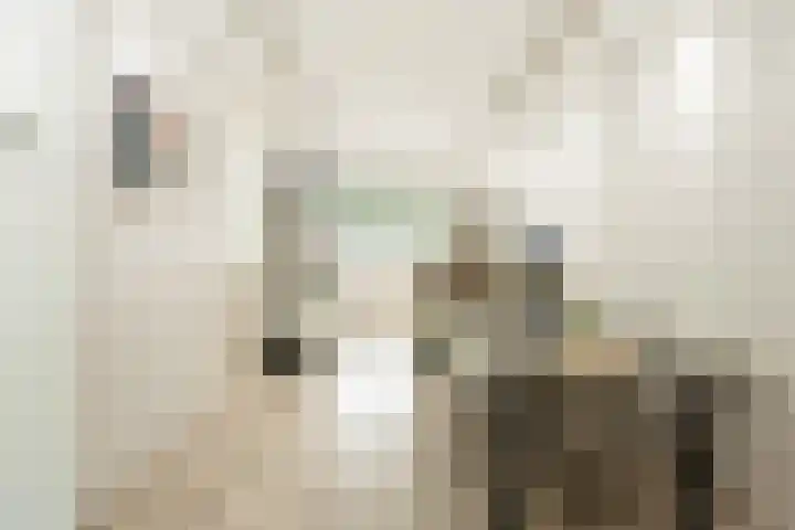 Onsenoort 20 Amsterdam thumbnail 4