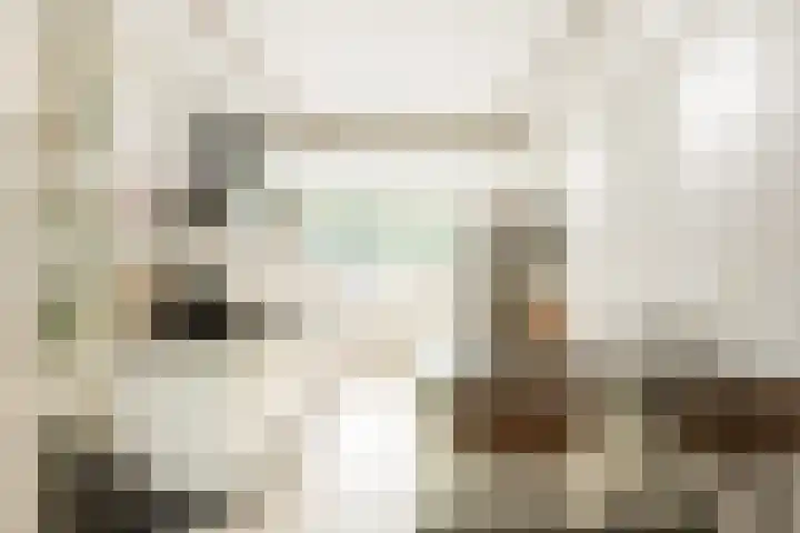 Onsenoort 20 Amsterdam thumbnail 5