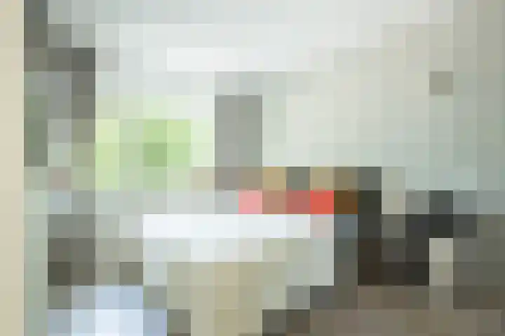 Onsenoort 20 Amsterdam thumbnail 8