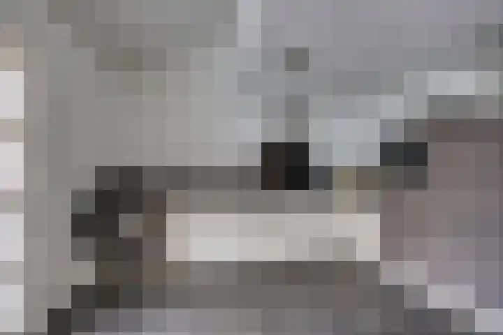 Onsenoort 23 Udenhout thumbnail 18