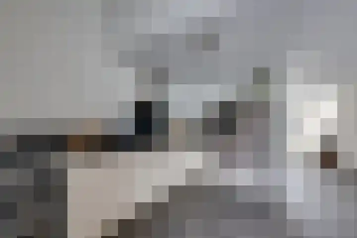 Onsenoort 23 Udenhout thumbnail 20