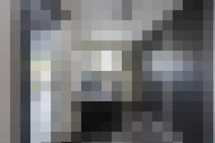 Onsenoort 23 Udenhout thumbnail 21
