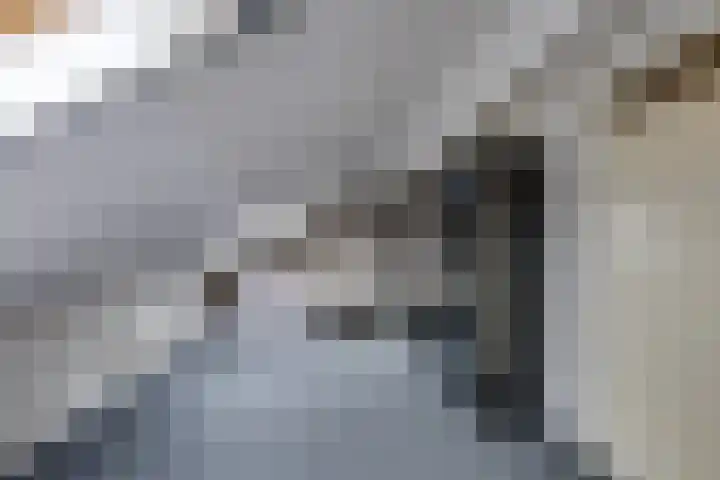 Onsenoort 23 Udenhout thumbnail 32
