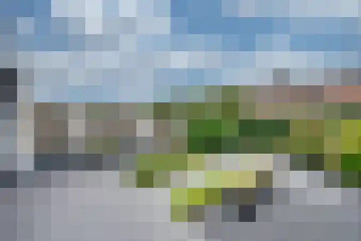Onsenoort 23 Udenhout thumbnail 44
