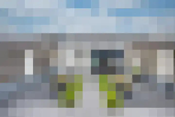 Onsenoort 23 Udenhout thumbnail 45