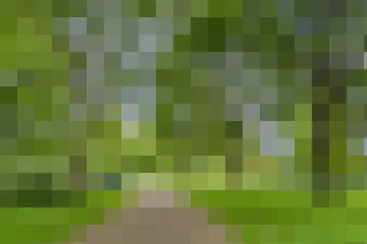 Onsenoort 3 Udenhout thumbnail 30