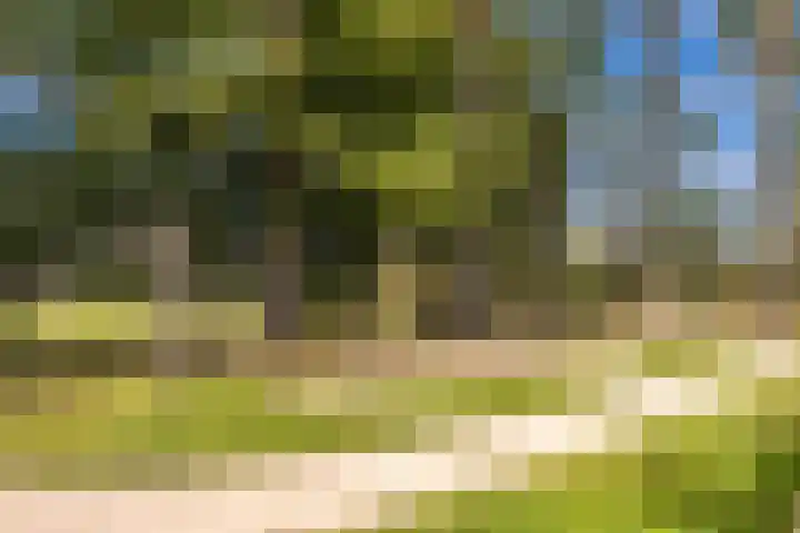 Onsenoort 3 Udenhout thumbnail 31