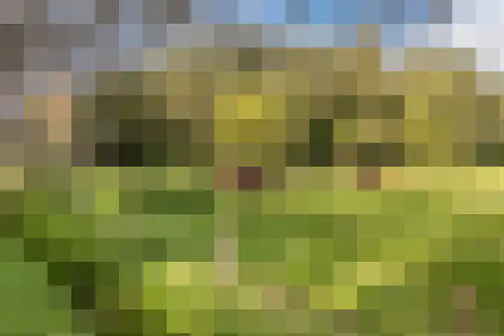 Onsenoort 3 Udenhout thumbnail 33