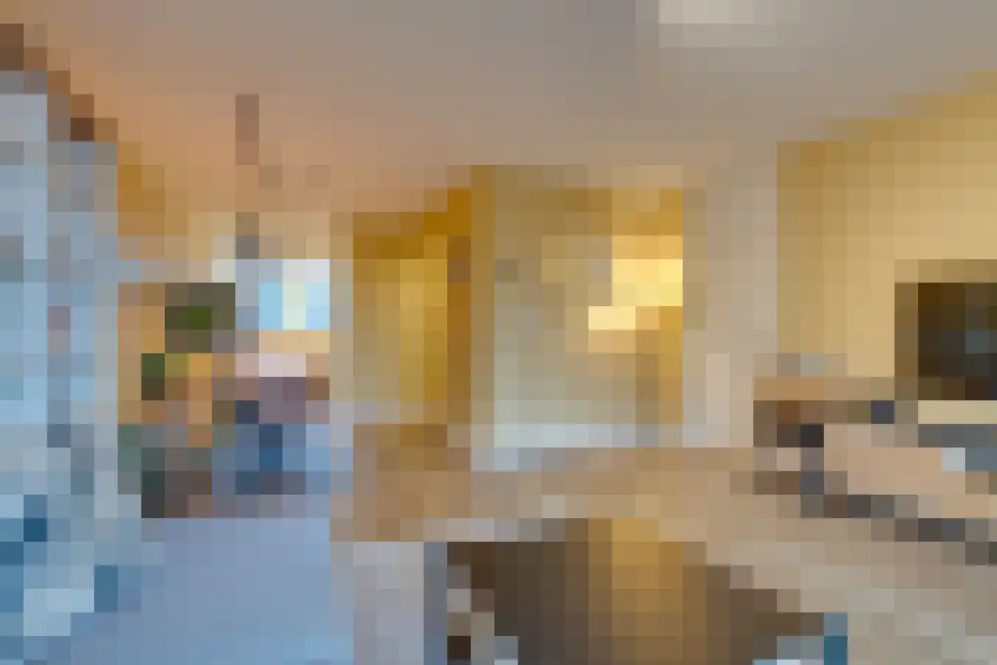 Onsenoort 52 Amsterdam thumbnail 17