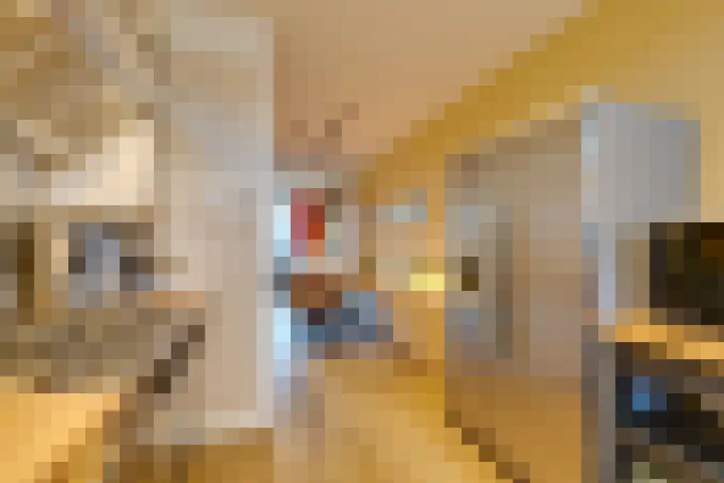 Onsenoort 52 Amsterdam thumbnail 23