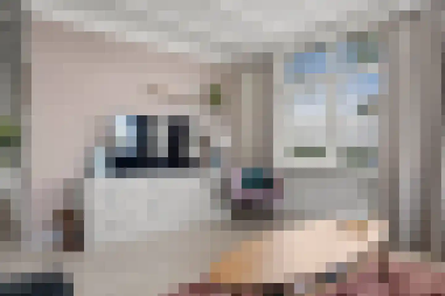 Onsenoortsestraat 21 Nieuwkuijk thumbnail 10