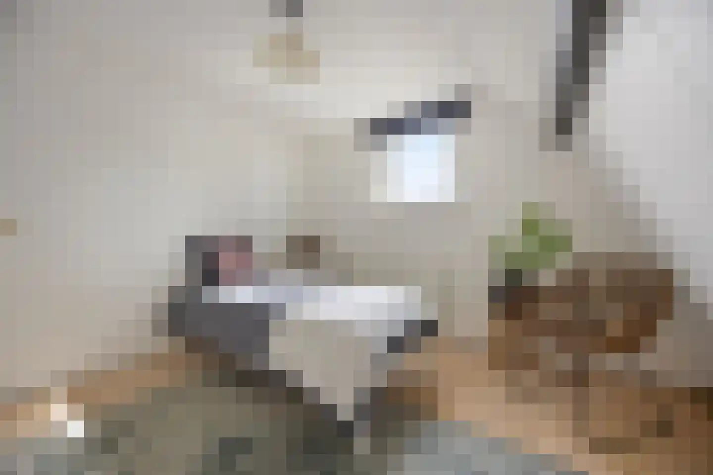 Onsenoortsestraat 21 Nieuwkuijk thumbnail 29
